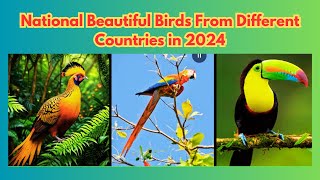 National Birds of Countries | Beautiful Birds From Around the World in 2024