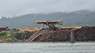 BC logging