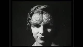 Sin Lung - 'Shaky Paw' - OFFICIAL VIDEO
