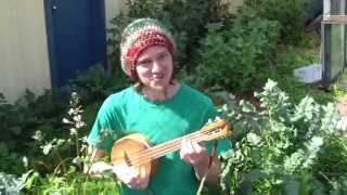 Look Around (Permaculture Principle 1: Observe & Interact)