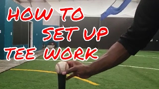 Raphael Turner | Tee Work For Dummies