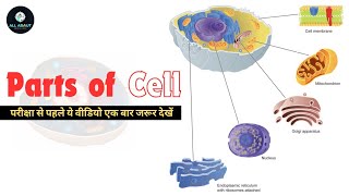 Parts of cell | Cell membrane, Nucleus, cytoplasm| All about Radio 