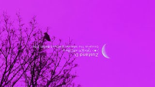 Zustand D. ---   c_y_b_e_r_S_o_to_U  - LiVE -  s.t.r.e.a.m.c.o.r.e