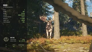 theHunter: Call of the Wild / GREAT ONE MOOSE FABLE TWO-TONE