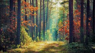 Ralph Vaughan Williams – English Folk Song Suite: I. March – Seventeen come Sunday
