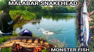 MONSTER MALBAR  SNAKEHEAD FISHING 🎣 || MALABAR SNAKEHEAD FISHING 🎣 || ANGLER ON BOARD || 