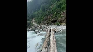 Nature’s Wild Heart 🏔️🌊#NatureLovers #Nepal #MountainLife #RiverSide #NaturePhotography#short