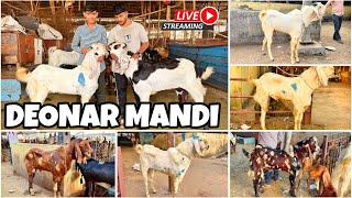 DEONAR BAKRA MANDI LATEST UPDATE 2025 || TUESDAY LIVE MARKET ||
