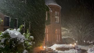 A Walk in the Winter Woods: Craigendarroch Lodges, Royal Deeside, Scotland