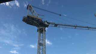 A huge morning erection!