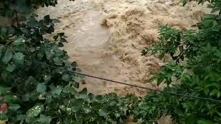 Pipraghat Kamla nadi Chaar Toot Gaya Hai(2)