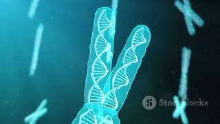 Calorie Restriction and Telomeres: The Secret to Longevity