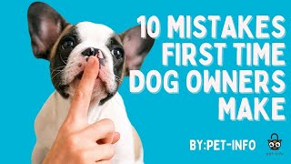 10 MISTAKES FIRST TIME DOG OWNERS MAKE 2023 Edition