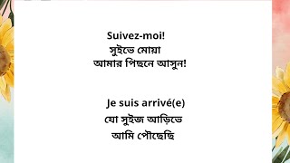 Important Sentences in French: Part II