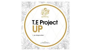 T.E Project - Up (Original Mix) [Smashing Trax Records] OUT NOW!