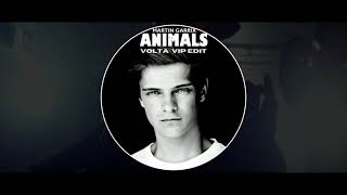 Martin Garrix - Animals (VOLTA VIP Edit)