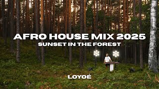 AFRO HOUSE MIX 2025 SUNSET IN THE FOREST (Keinemusik Rampa &ME Black Coffee Nitefreak Alex Wann DSF)