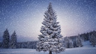 The Wonder~~Tanya Tucker