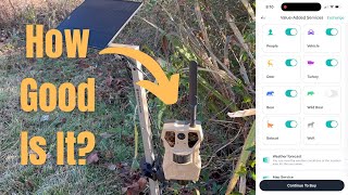 Solar Trail Camera w/ Live Feed, AI Detection, Motion Activation, 2K 33MP, No-glow Night Vision