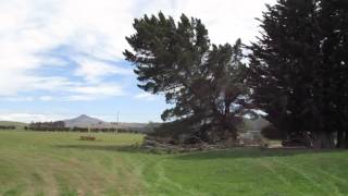 brian fields firewood work
