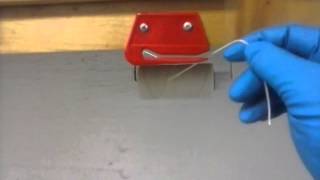 A "Repurposed" Letter Opener
