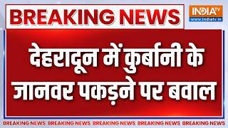 Breaking News : देहरादून में कुर्बानी के जानवर पकड़ने पर बवाल | Uttrakhand News Updates