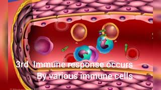HOW VACCINES WORK ON OUR BODY?  BIQ Q NUMBER 3 IN ONE MINUTE.