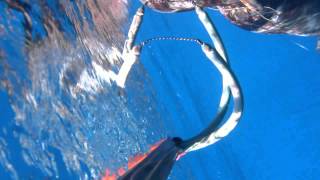 Pesca sulle Isole