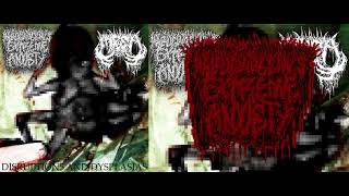 MRSA/XHXEXAX - Disruptions And Dysplasias (2ways split) ( Gorenoise )