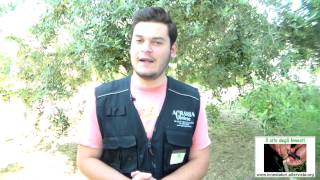 I macroelementi N-P-K delle Piante