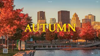 [Playlist] 설렘 가득한 가을 플리 🍁 하루 종일 듣는 chill playlist 🎧 Best Autumn Pop Songs