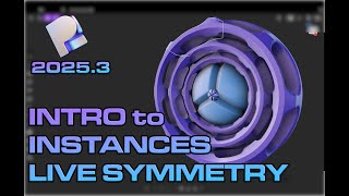 The POWER of INSTANCES and LIVE SYMMETRY in PLASTICITY!