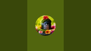 cook every day is live!