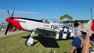 EAA 2022 P51s(2)