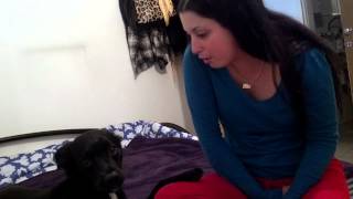 Abby's magic- ich