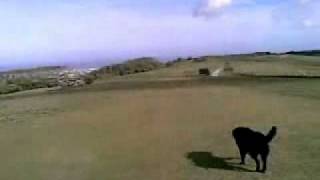daizy on hills with alfie