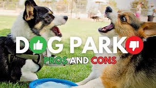 Socializing Your Dog - Should I Take My Dog to the Dog Park?