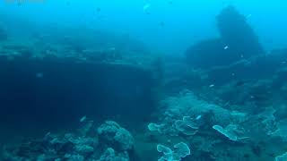 Shark, barracuda, and more around USAT Liberty off Bali Indonesia 