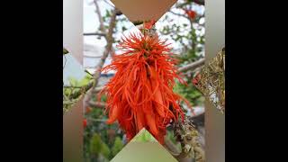 muzibaniraneza mumahoro, nubwobabaroga ntibuzabafata!!!!