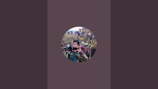 Public Memory is live