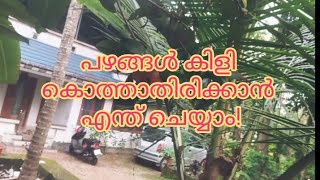 ഒന്നുപോലും കഴിക്കാൻ കിട്ടും എന്ന് തോന്നുന്നില്ല🤦