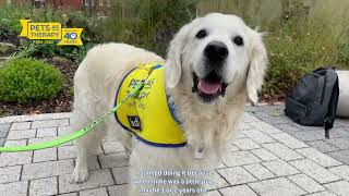 PAT volunteer Ian Mobley wins Pets As Therapy Impact Award