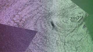 selfsimilar - diora machine