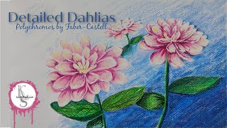 Drawing Dahlias with PolyChromos by Faber Castell