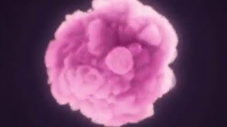 GIF Therapy - Deep Anxiety Relief [Calming Music]