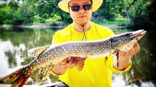 Unforgettable Pike Fishing Adventures in Kitchener, Ontario | Reel Guy Ryan