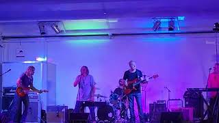 VINYL HITS LIVE "REBEL YELL" cover