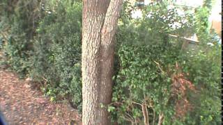clip 2008 02 20 23;35;36