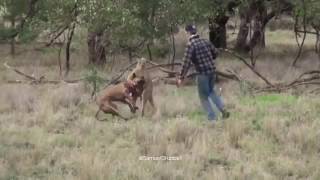 Fight
