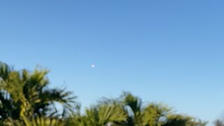 SpaceX Falcon 9 Daytime Launch Feb 25 2024